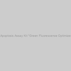 Image of Cell Meter™ Nuclear Apoptosis Assay Kit *Green Fluorescence Optimized for Flow Cytometry*